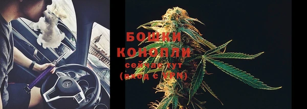 молекула духа Богородицк