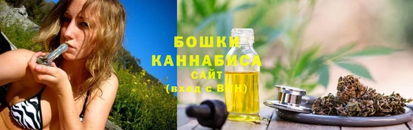 молекула духа Богородицк