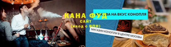 молекула духа Богородицк
