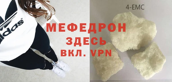 молекула духа Богородицк