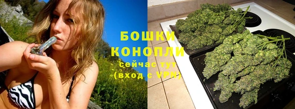 молекула духа Богородицк
