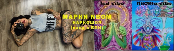 молекула духа Богородицк
